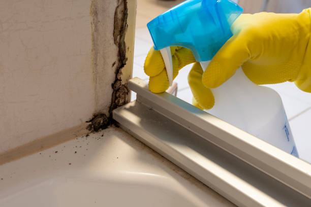 Carlisle Rockledge, AL Mold Remediation Company