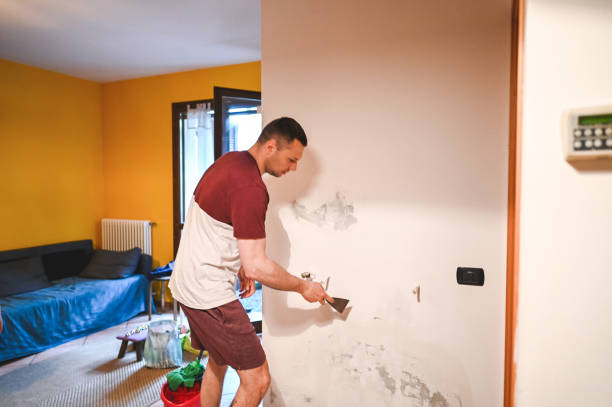Best Bathroom Mold Remediation in Carlisle Rockledge, AL
